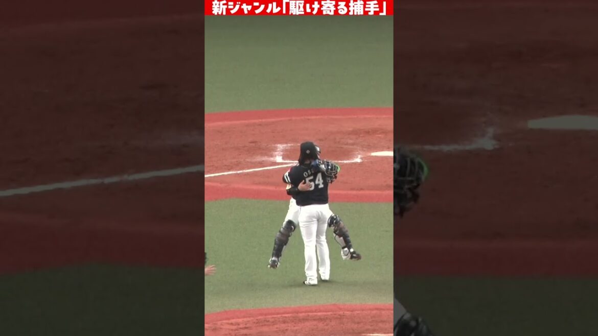 新ジャンル「駆け寄る捕手」 #shorts