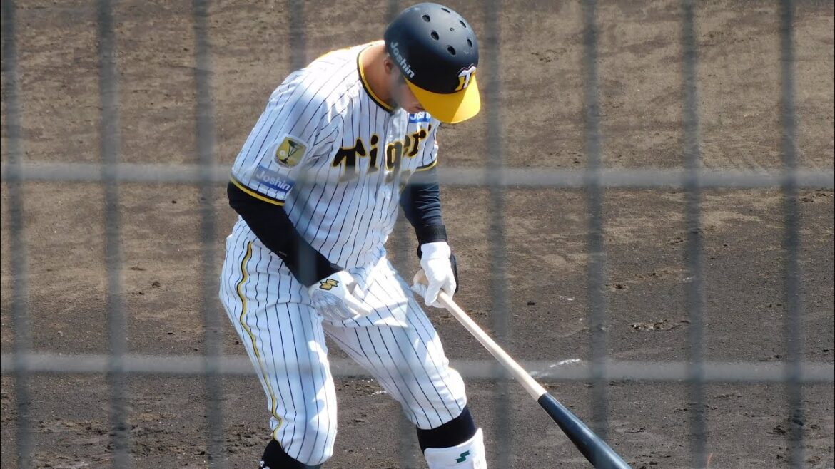 【ファーム】豊田寛 1塁線ギリギリを破る同点タイムリーツーベース 鳴尾浜の4番がいきなり魅せる