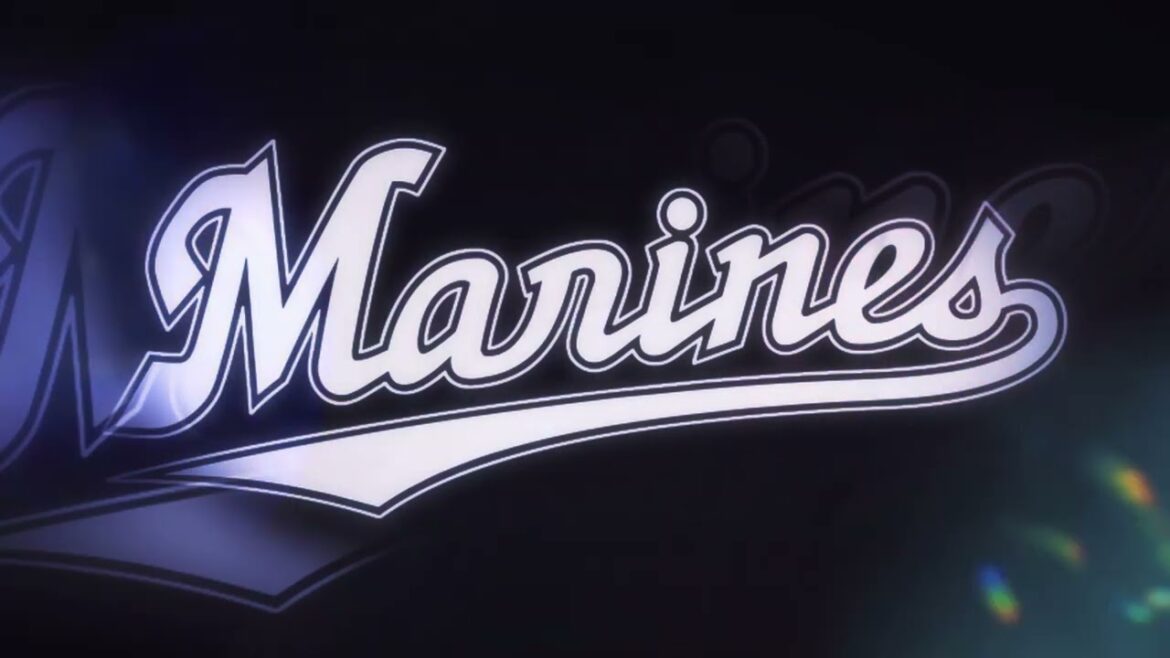 【作業用】友杉篤輝選手応援歌40分耐久【耐久】