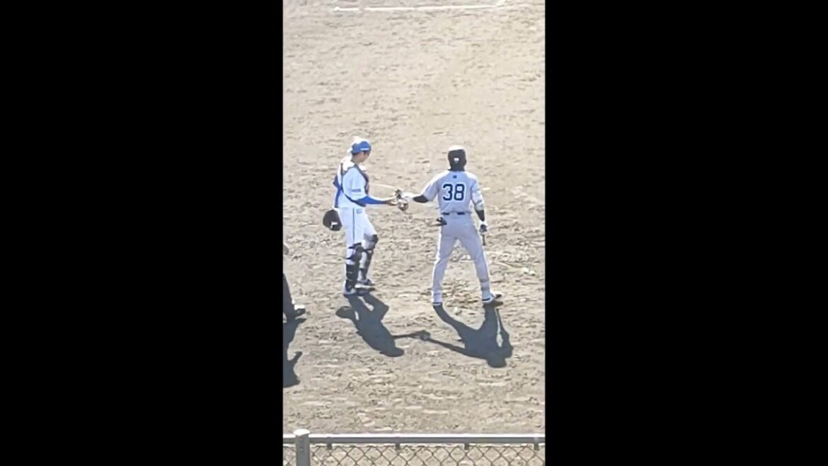 【かけめぐる青春】ジャイアンツ #岡田悠希 とファイターズ 清水優心 #shorts #ビューティーペア ♪私からあなたへ、あなたから私へ♪