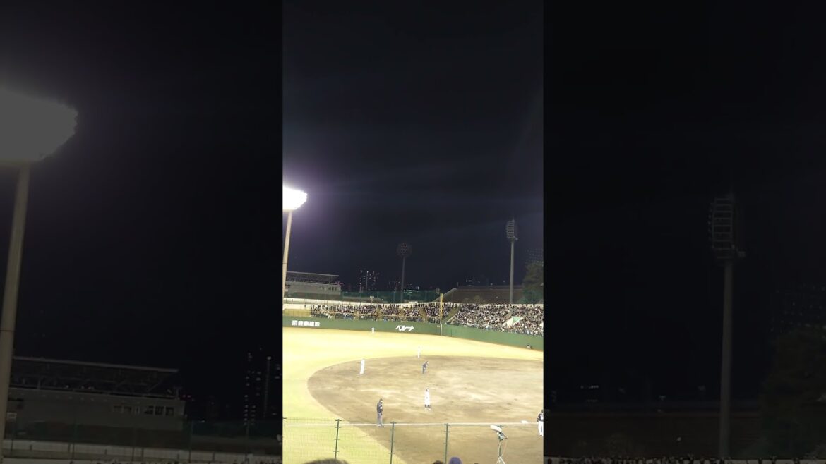 【ロッテ 応援歌】ネフタリ・ソト #ネフタリ教