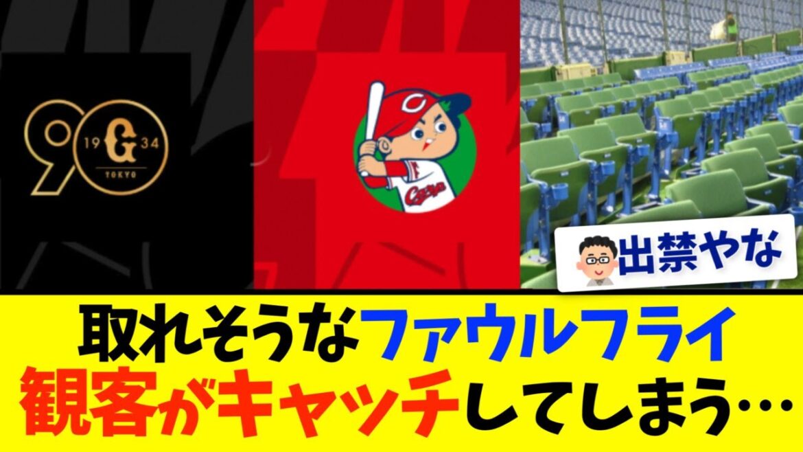 【巨人✕広島】観客がファウルフライをキャッチ