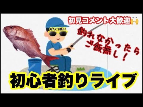 【海釣りライブ】24/4/11 釣れなかったらオカズ無し!初心者の釣りライブ🐟※不定期好天時開催予定 #釣り #釣りガール #海釣り 【海釣りライブ】24/4/11 釣れなかったらオカズ無し!初心者の釣りライブ🐟※不定期好天時開催予定 #釣り #釣りガール #海釣り