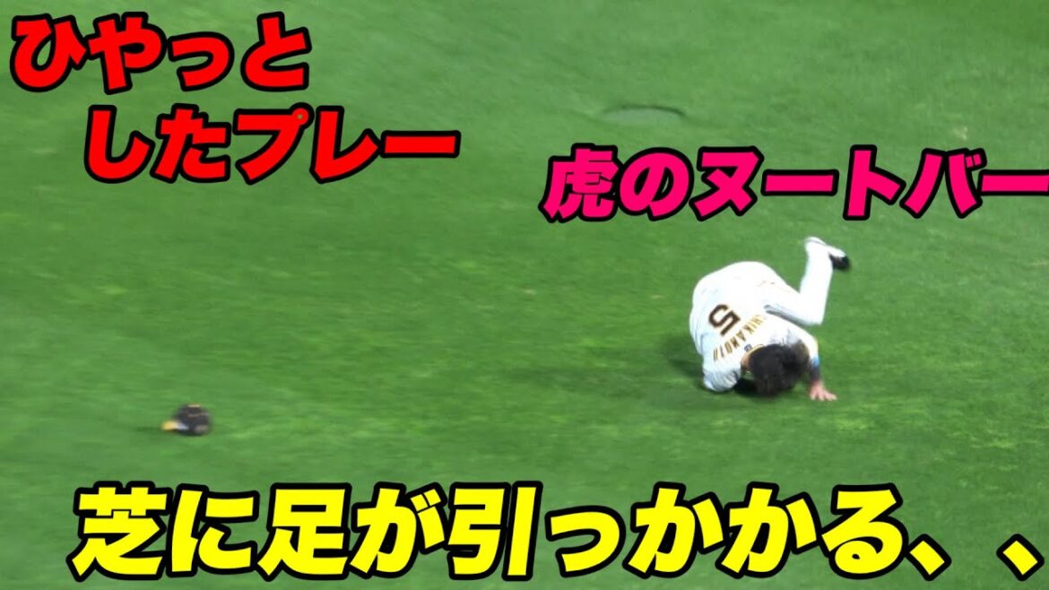 【いきなりファインプレー連発も外野の芝に足が取らる、、近本 坂本がスライディングキャッチ！】阪神対広島
