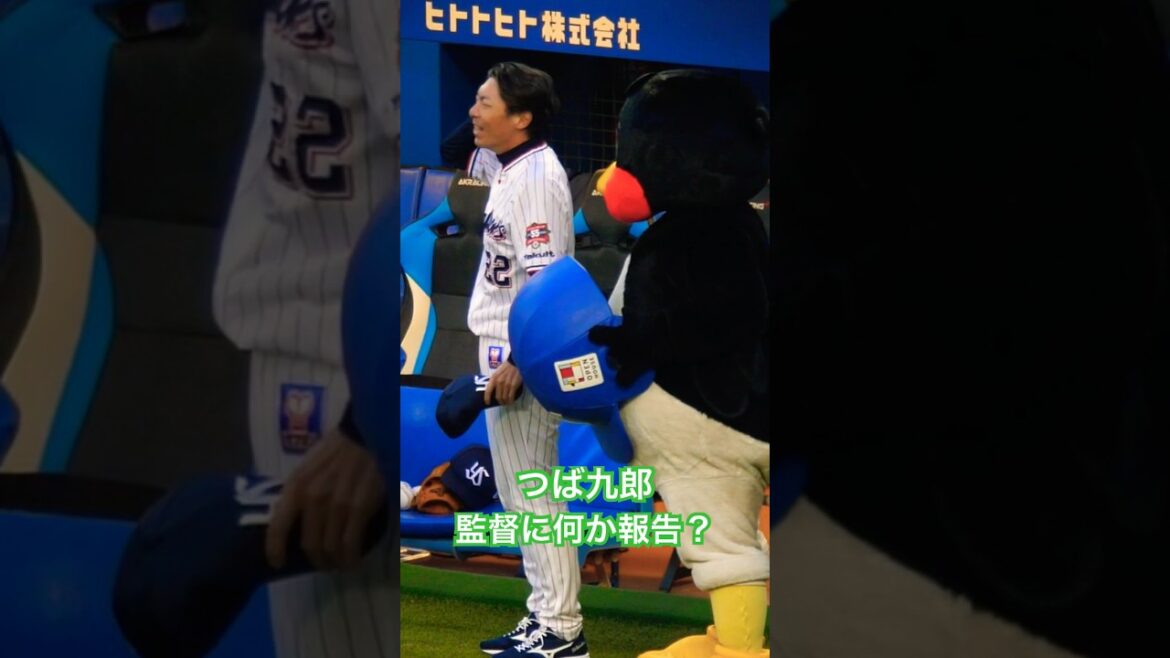 つば九郎　高津監督に何やら報告？　#swallows #野球 #プロ野球 #つば九郎 #高津臣吾 #高津監督 #shorts