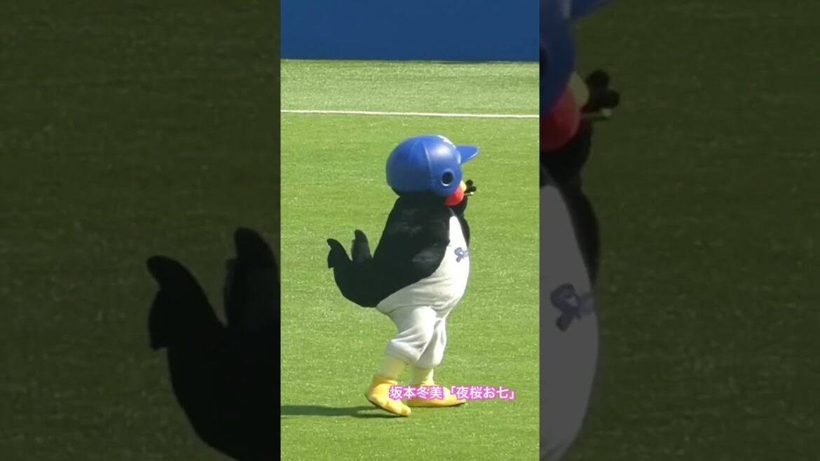 24/3/30 夜桜おつば #Shorts