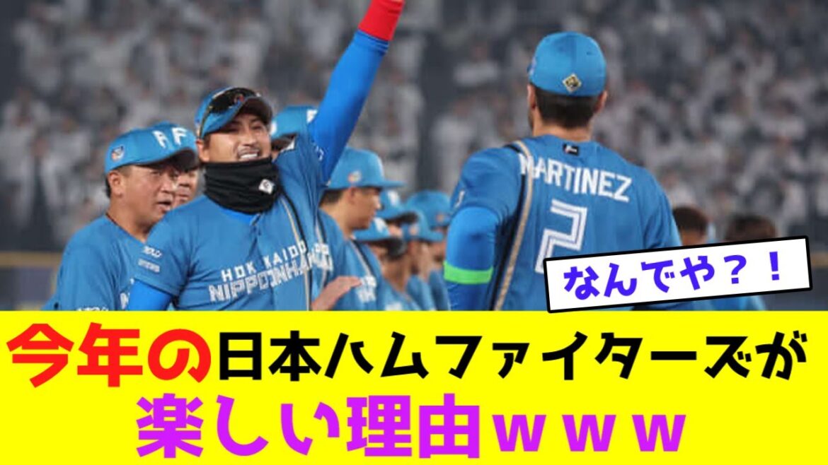 今年の日本ハムファイターズが楽しい理由ｗｗｗ【なんJなんG野球反応】