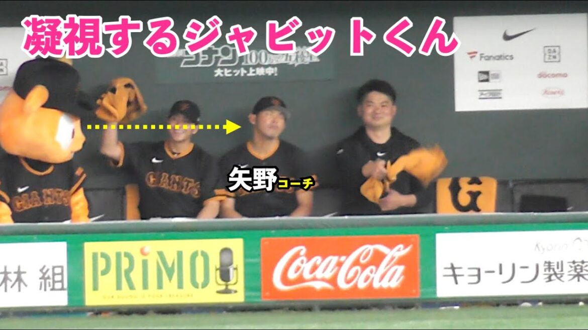 本日のビバジャイアンツ！矢野コーチ,初めて気づいてもらいメインビジョンで映してもらう！今日は湯浅大選手と一緒に！試合前の一コマ