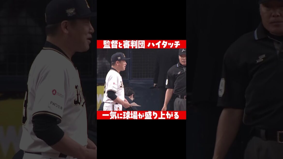Pacific-League: 監督と審判団 イッキに振り返り! #shorts 監督と審判団 イッキに振り返り! #shorts