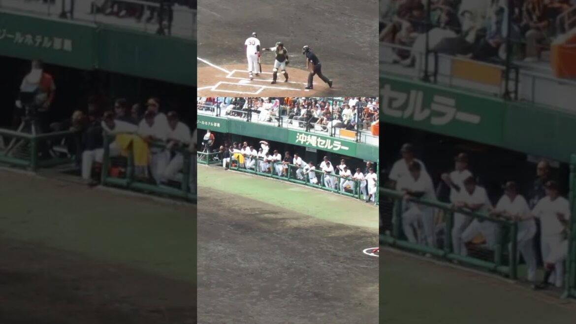 オコエ瑠偉 粘ってフォアボールで喜ぶ巨人ベンチ〜オープン戦 読売ジャイアンツ対 阪神タイガース2024年2月23日