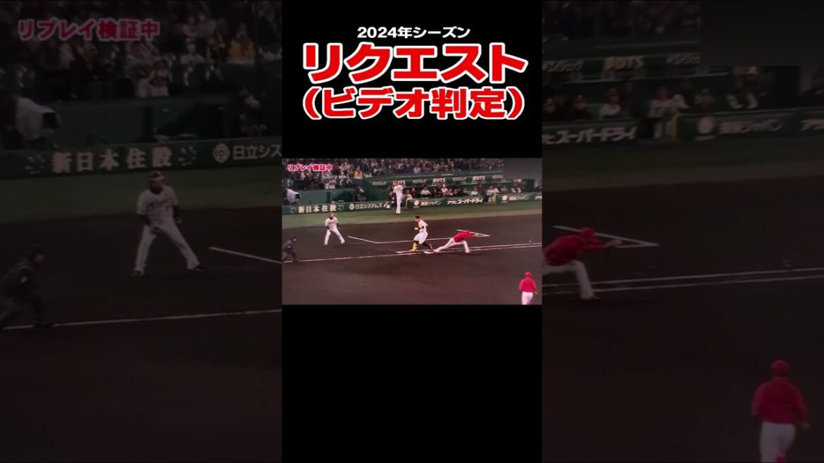 プロ野球リクエスト　阪神 佐藤輝明選手　広島東洋 小園海斗選手