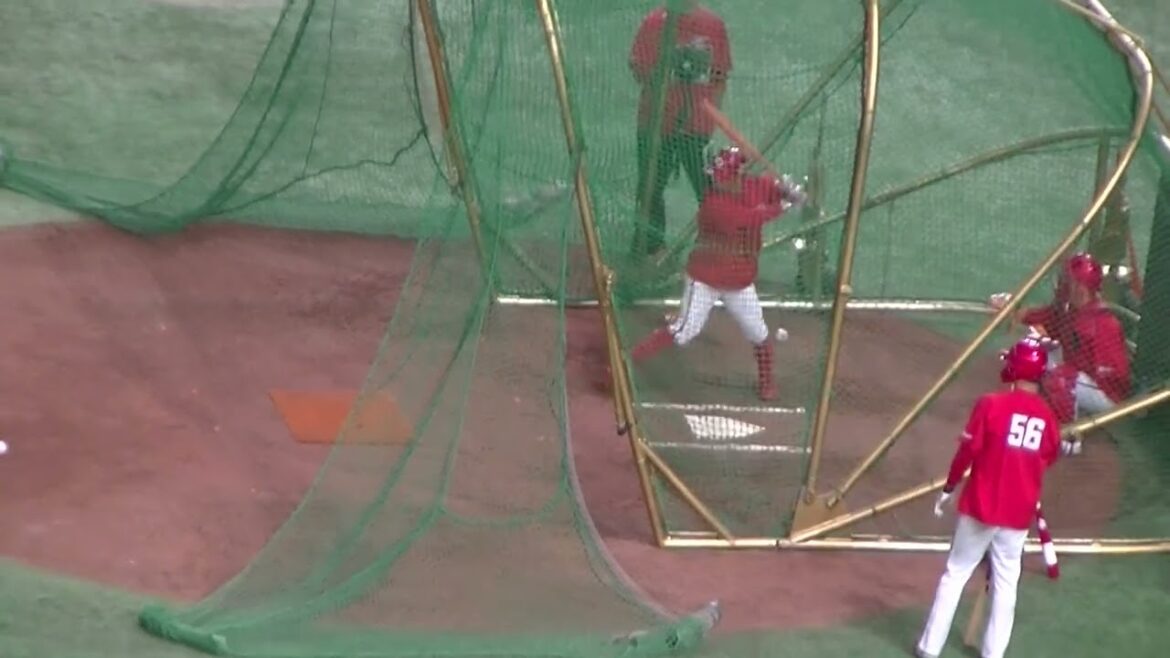 広島 羽月隆太郎のフリーバッティング【 読売ジャイアンツ対 広島カープ2024年4月13日】