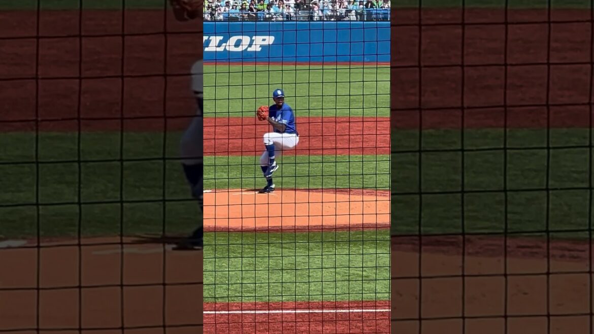 【メヒアは凄いんだから！】開幕シリーズ  2024.3.31 開幕ヤクルト戦！神宮球場　3塁側内野SSから見た景色！