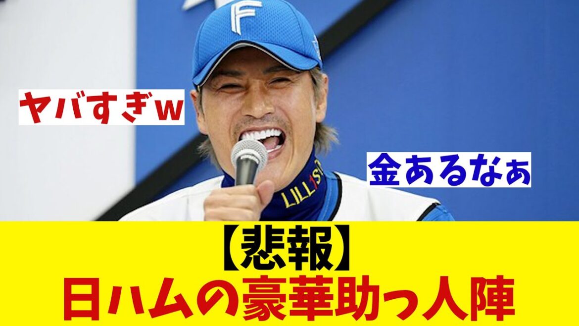 【悲報】日本ハムの豪華助っ人陣wwwwww【野球情報】【2ch 5ch】【なんJ なんG反応】