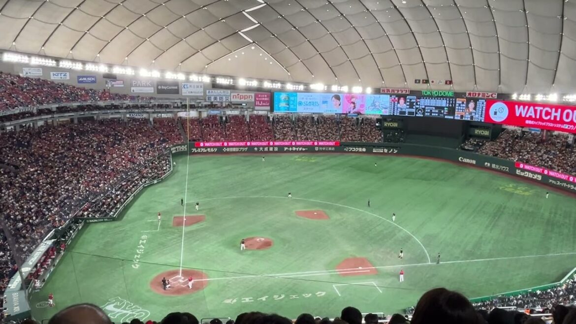 2024 広島カープ 松山竜平 応援歌