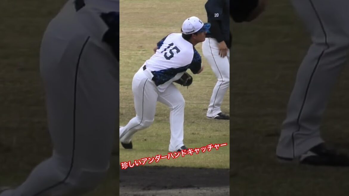 【2024年南郷キャンプ】キャッチャーミットのアンダースロー #seibulions #與座海人 #キャッチボール  #南郷春季キャンプ #プロ野球