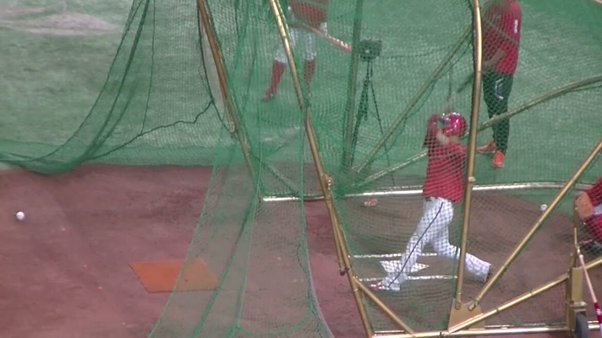 広島 二俣翔一のフリーバッティング【 読売ジャイアンツ対 広島カープ2024年4月13日】