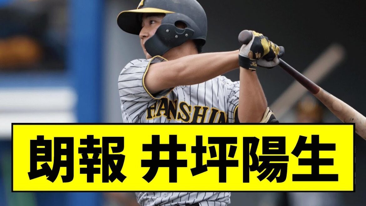 【阪神】井坪陽生が無双中ｗｗｗｗｗ【2chスレ】