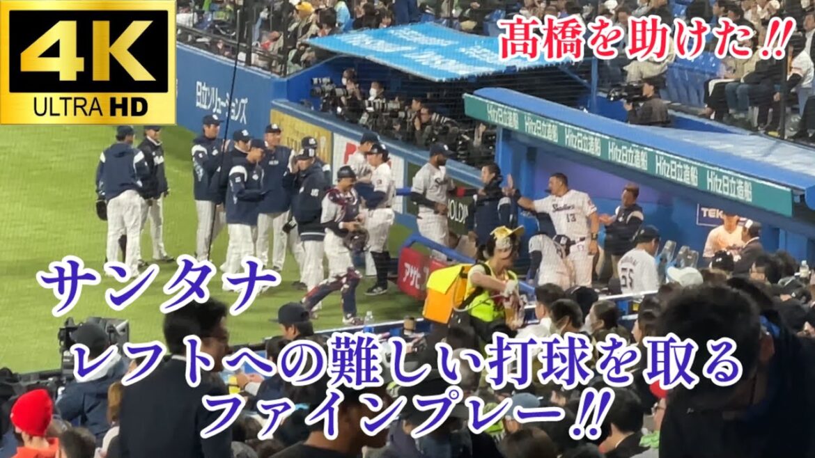 【先制を許さないファインプレー‼︎】サンタナ 外へ流れて行く難しい打球を取るファインプレー‼︎満塁の場面で高橋を助ける‼︎ 東京ヤクルトスワローズ 2024.4/11