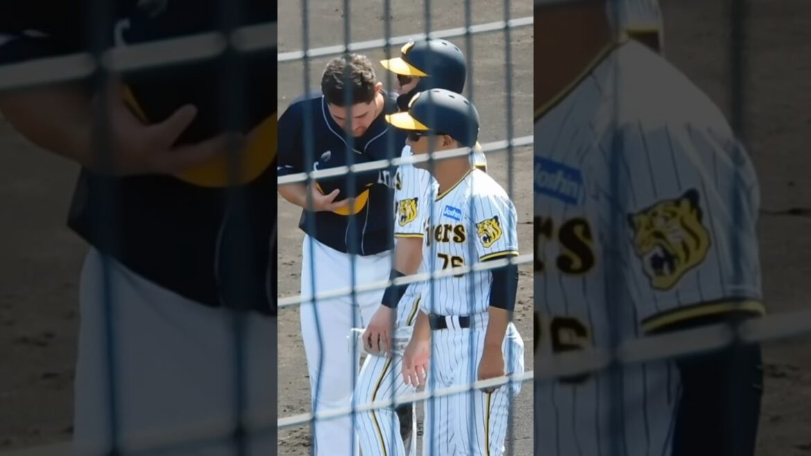 死球を与えてしまった渡邉諒に帽子を取って謝る律儀なリチャード