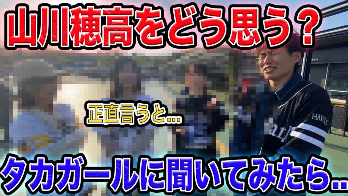 【閲覧注意】山川穂高さんをどう思うかタカガールに聞いてみたらヤバかった【禁断の質問】【ホークス】