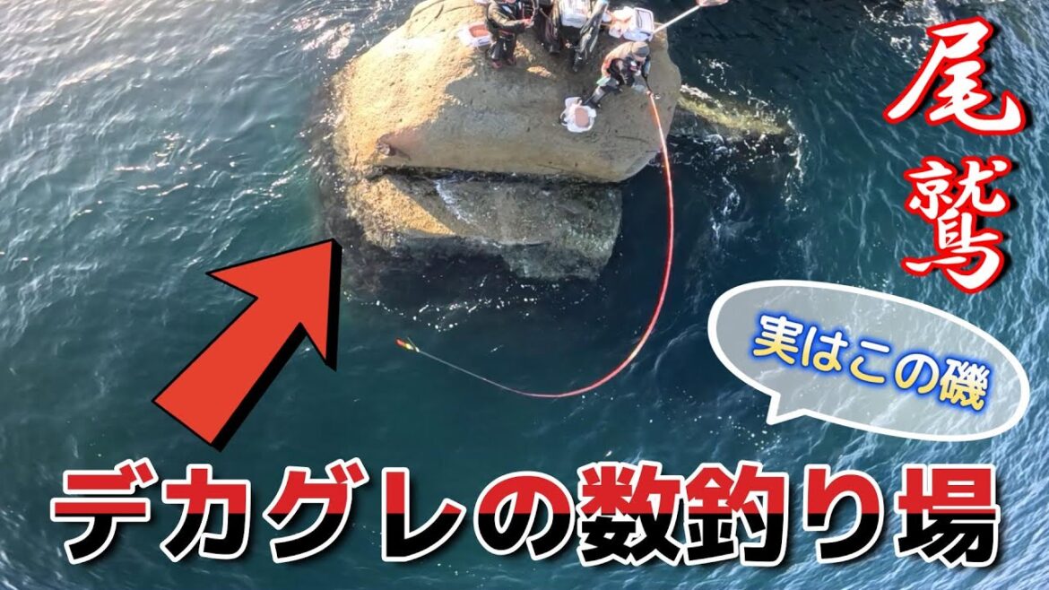 【春グレ攻略】デカグレの産卵場狙い撃ちしてみた！（前編）