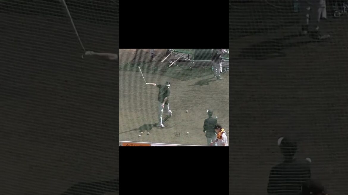 【巨人】秋広優人トスバッティングを行う【2024年2月22日 読売ジャイアンツ沖縄キャンプ】