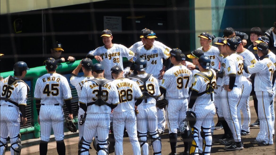 【ファーム】 2024.4.12  豊田寛 試合前円陣