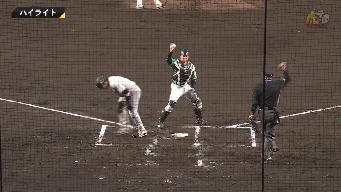 【ハイライト】阪神vs巨人【2024/4/17Ｔ－Ｇ】