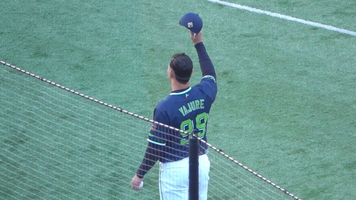 ヤフーレの日本語が可愛い！開幕から3連勝のヒーローインタビュー！2024/04/14 東京ヤクルトスワローズ