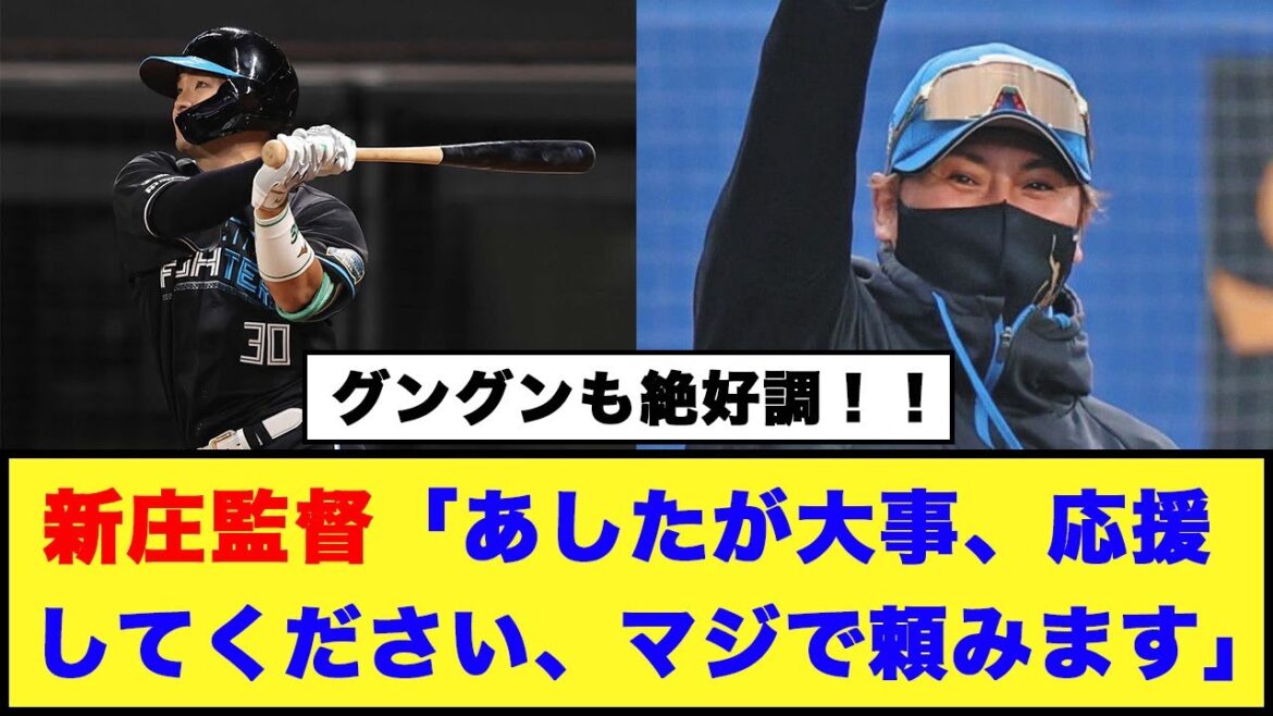 【日本ハム】新庄監督「あしたが大事、応援してください、マジで頼みます」【日本ハム反応集】【ネットの反応】#日本ハムファイターズ #新庄監督 #郡司裕也