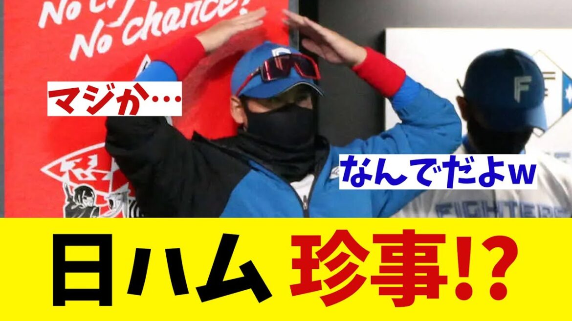 日本ハム　エスコンフィールドで珍事!?【野球情報】【2ch 5ch】【なんJ なんG反応】