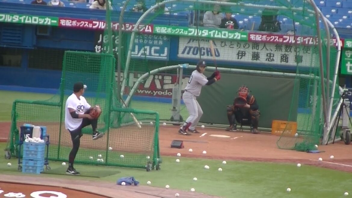 バッティング練習中の中山礼都（ヤクルトスワローズ対 読売ジャイアンツ2024年4月11日）