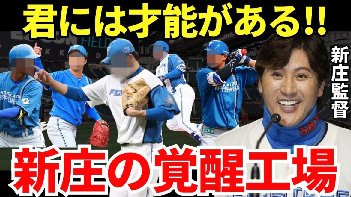 【名将の眼力！？】新庄が日本ハムの監督になってから覚醒した選手たちの勢いが凄い！