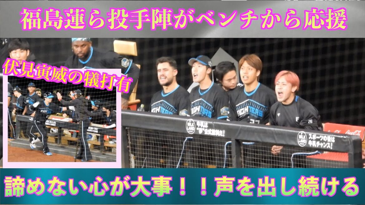 【20240417】福島蓮ら投手陣もベンチから応援。伏見寅威の犠打シーン有り。