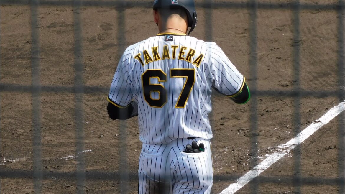 【ファーム】高寺望夢 逆方向へ犠牲フライ 3塁走者榮枝が激走ホームインで阪神が5点目