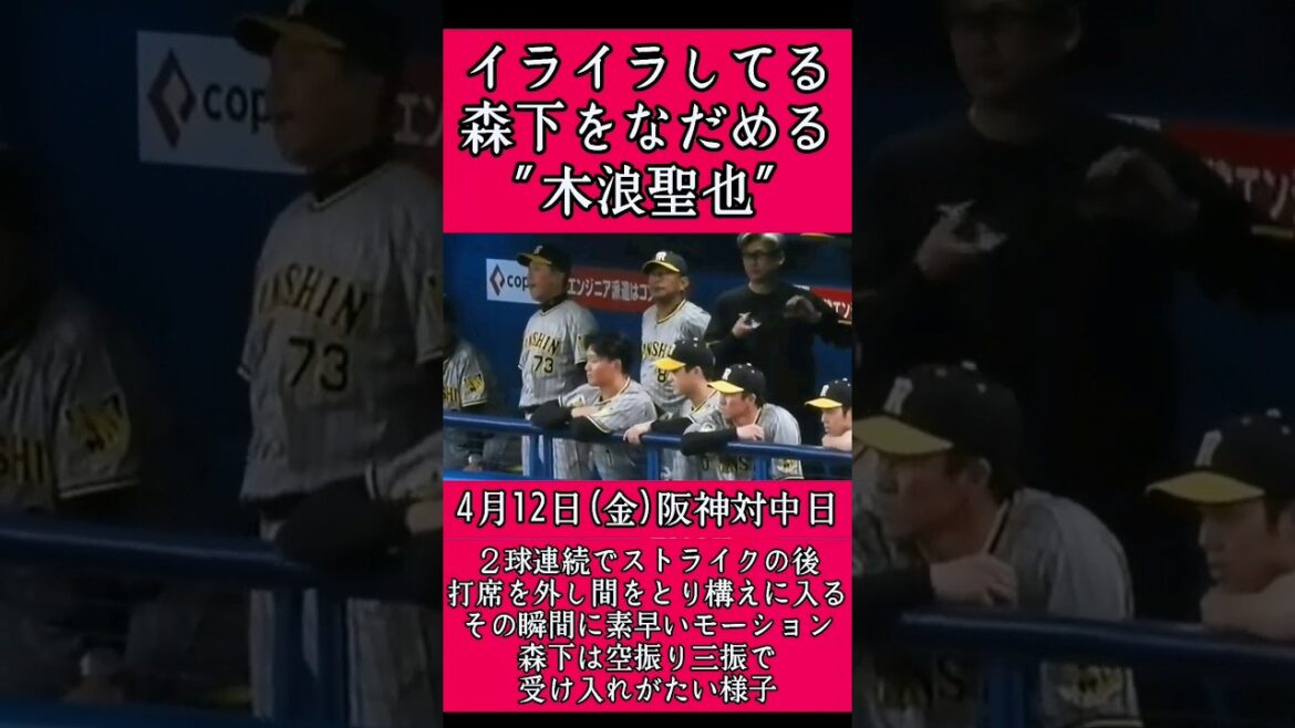 【阪神】"木浪聖也"イライラしてる森下をなだめる！ #阪神 #阪神タイガース #木浪聖也 #森下翔太  #shorts