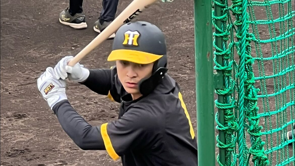 【虎のイケメン】  #阪神 #熊谷敬宥 選手全打席まとめ  24.4.18.  #阪神鳴尾浜球場 #ファーム #ウエスタンリーグ