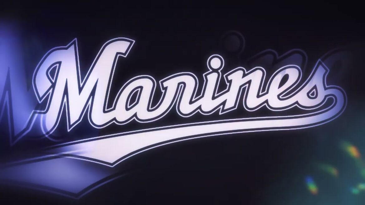 【作業用】岡大海選手応援歌40分耐久【ヒロミナイト】