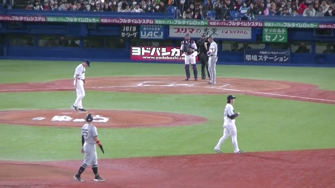 二、三塁で坂本勇人を抑える木澤尚文（2024年4月11日 ヤクルトスワローズ 対 読売ジャイアンツ）