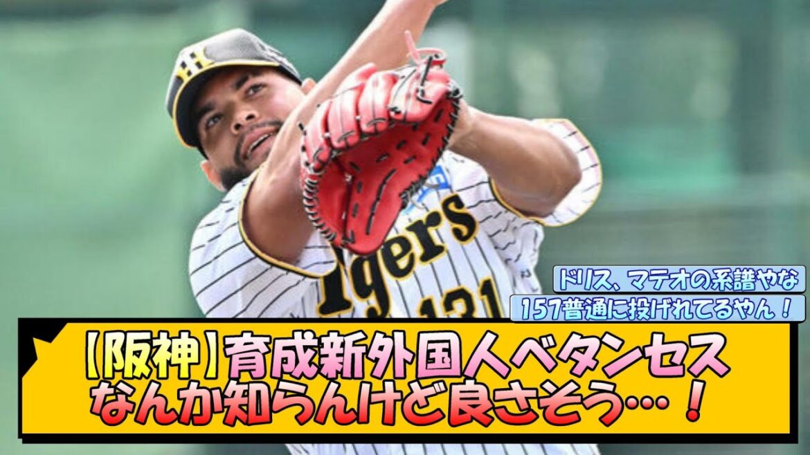 【阪神】育成新外国人ベタンセス なんか知らんけど良さそう…！【なんJ 反応 まとめ】