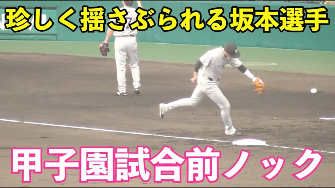 巨人甲子園ノック！この日猛打賞の丸選手は相変わらずの正確な送球！坂本選手は川相コーチから珍しく揺さぶられる場面も！