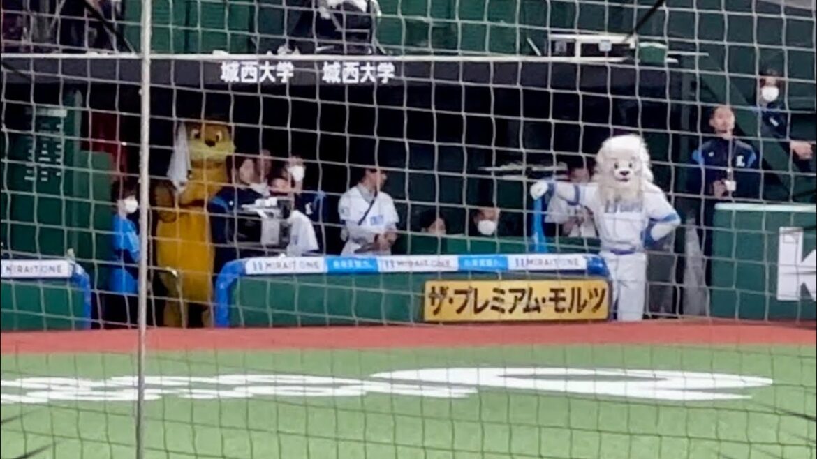 今井達也のピンチをそっと見守るアザラシ?とライオン→ライオンズラッキー7『吠えろライオンズ』【西武vs楽天】2024/4/19 今井達也のピンチをそっと見守るアザラシ?とライオン→ライオンズラッキー7『吠えろライオンズ』【西武vs楽天】2024/4/19