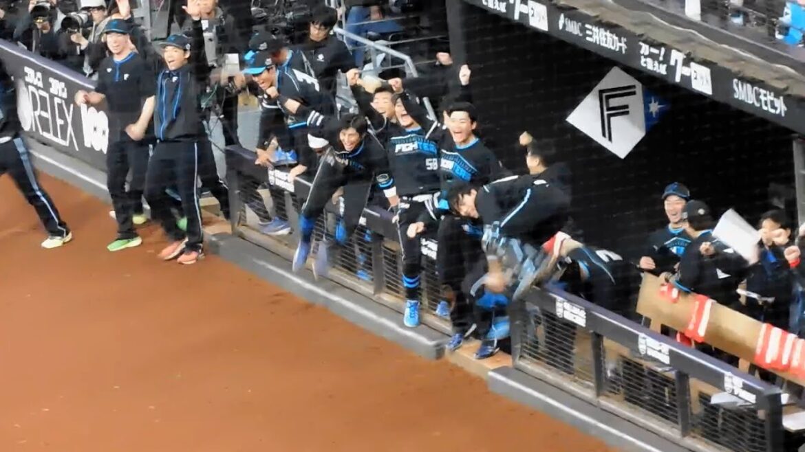 【日本ハム】加藤豪将選手 サヨナラ押し出し四球で勝利の瞬間 ベンチの様子【2024年4月19日】