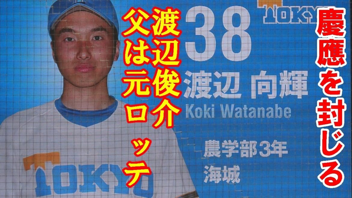 【渡辺俊介（元ロッテ）の息子好投】渡辺向輝（東京大学３年）が１イニング無安打無失点好リリーフ　東京六大学野球春季リーグ慶大戦第２戦　2024. 4. 14（日）#東京大学渡辺向輝#ロッテ渡辺俊介