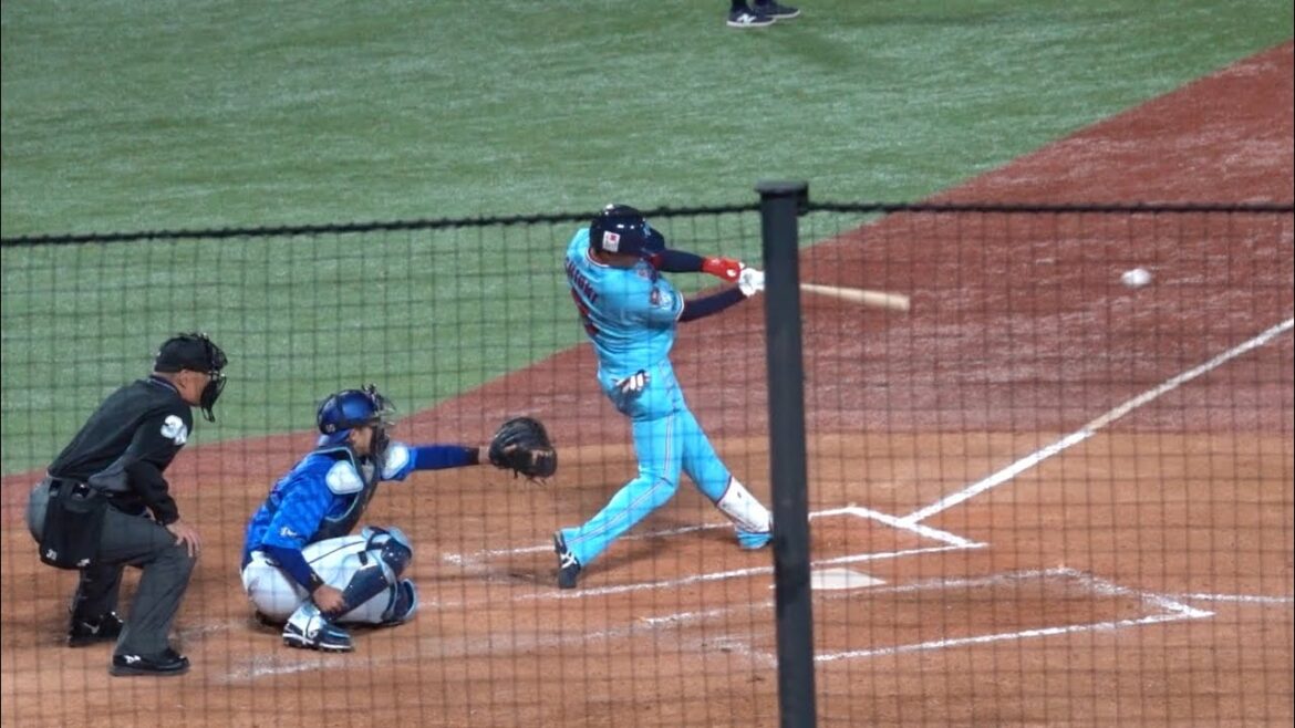 塩見泰隆のタイムリーヒットで長岡生還！東京ヤクルトスワローズ 2024/04/19