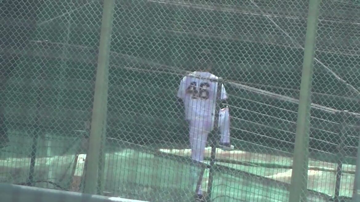 ブルペン投球する先発の又木鉄平（読売ジャイアンツ対 日本ハムファイターズ 2軍戦2024年4月16日）