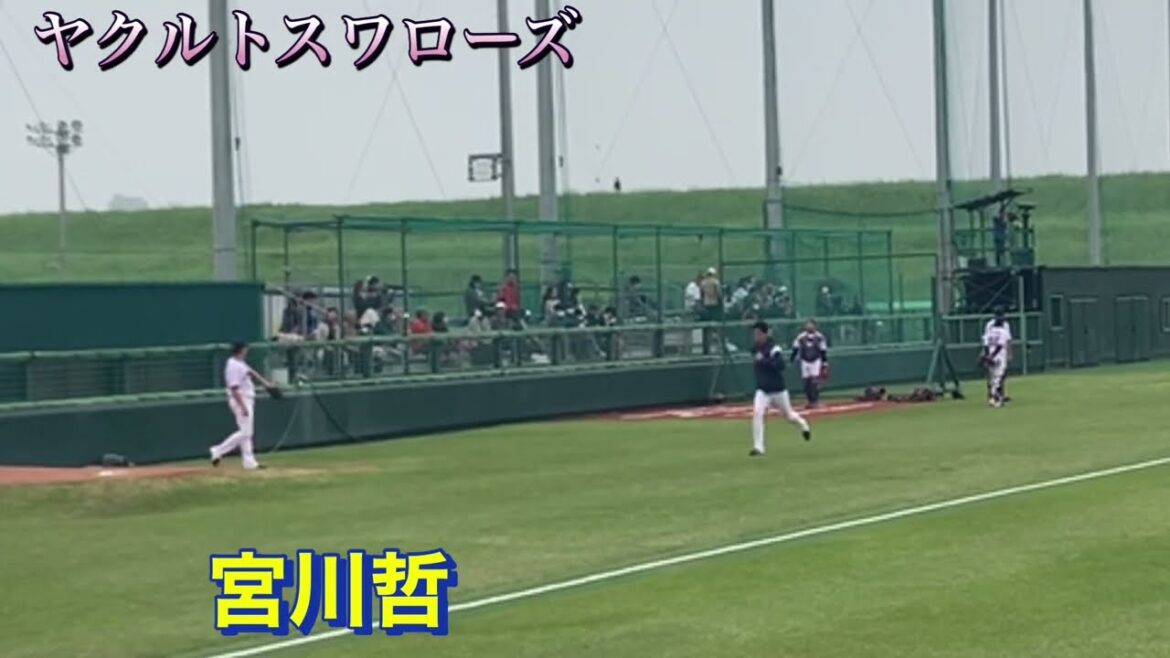 ヤクルトスワローズ　宮川哲