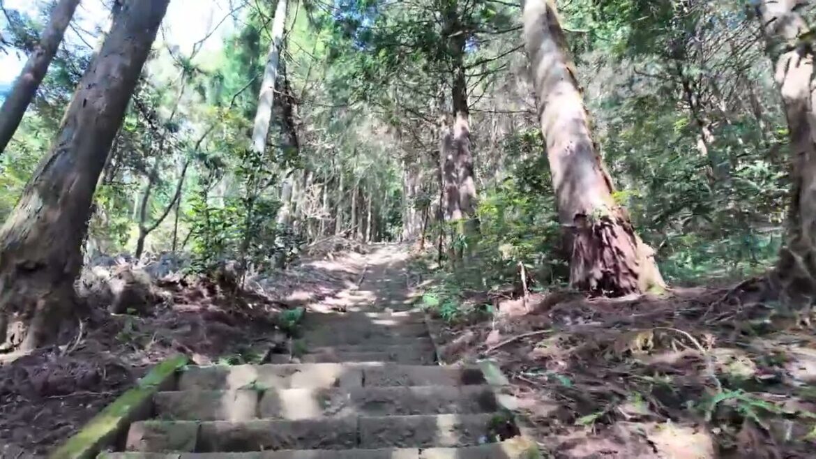 鐘ヶ嶽エクストリーム 2024.4.13&ブロリー練 2024.4.11 鐘ヶ嶽エクストリーム 2024.4.13&ブロリー練 2024.4.11