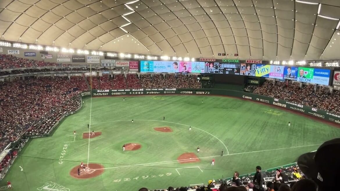 2024 広島カープ 菊池涼介 応援歌